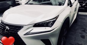 Lexus NX 300 2018 - Bán Lexu Nx300 năm 2017, siêu lướt mới đi 10.000km sản xuất 2018 màu trắng, nhập khẩu nguyên chiếc, bao kiểm tra hãng giá 2 tỷ 550 tr tại Tp.HCM