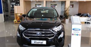 Ford EcoSport Titanium 1.0L  2018 - Cần bán xe Ford Titanium 1.0L 2018 giá 689 triệu tại Khánh Hòa