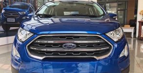 Ford EcoSport Titanium 2018 - Bán xe Ford EcoSport Titanium năm sản xuất 2018, đủ màu giao ngay, hỗ trợ tài chính 0968.912.236 giá 625 triệu tại Thái Bình