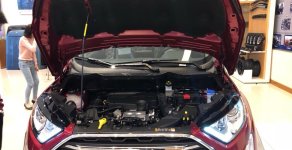 Ford EcoSport Titanium 2018 - Bán xe Ford EcoSport Titanium. Giảm tiền mặt hàng chục triệu đồng 0968.912.236 giá 625 triệu tại Ninh Bình