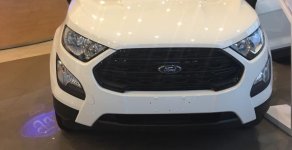 Ford EcoSport Titanium 1.5L 2018 - Bán Ford EcoSport Titanium 1.5L đời 2018, màu trắng giá cạnh tranh giá 520 triệu tại An Giang