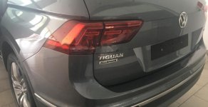Volkswagen Tiguan   2018 - Cần bán Volkswagen Tiguan sản xuất năm 2018, màu xám, nhập khẩu giá 1 tỷ 699 tr tại Đà Nẵng