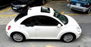 Volkswagen Beetle 2007 - Cần bán Volkswagen Beetle sản xuất 2007, màu trắng, nhập khẩu nguyên chiếc giá cạnh tranh giá 445 triệu tại Tp.HCM