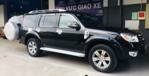 Ford Everest Limited 2010 - Cần bán xe Ford Everest Limited sản xuất năm 2010, màu đen, 545 triệu giá 545 triệu tại Tp.HCM