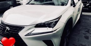 Lexus NX 300 2017 - Cần bán xe Lexus NX 300 đời 2017, màu trắng, nhập khẩu nguyên chiếc   giá 2 tỷ 550 tr tại Tp.HCM