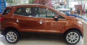 Ford EcoSport   Titanium 1.0L AT 2019 - Bán Ecosport 2019 đủ màu và phiên bản, chỉ cần 200 triệu đồng nhận ngay chuyên gia đường phố - Call 0974286009 giá 650 triệu tại Bắc Giang