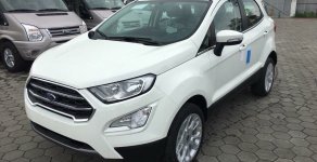 Ford EcoSport Ambiente 1.5L MT 2018 - Bán Ford EcoSport 2018, màu trắng, hỗ trợ vay đến 90% giá xe, mua bảo hiểm thân vỏ giá 545 triệu tại Lào Cai