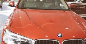 BMW X3 xDrive20i 2017 - Cần bán xe BMW X3 xDrive20i đời 2017, màu đỏ, nhập khẩu giá 1 tỷ 999 tr tại Tp.HCM