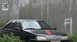 Peugeot 405 1996 - Bán Peugeot 405 đời 1996 giá cạnh tranh giá 60 triệu tại Đồng Nai