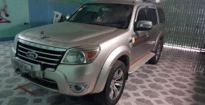 Ford Everest   AT 2010 - Bán Ford Everest AT đời 2010, máy dầu, tiết kiệm nhiên liệu giá 515 triệu tại Ninh Thuận