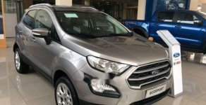 Ford EcoSport   Trend  2018 - Bán xe Ford EcoSport Trend năm sản xuất 2018, màu bạc giá 550 triệu tại Tp.HCM