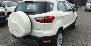 Ford EcoSport  Titanium 1.5L AT 2018 - Cần bán Ford EcoSport Titanium 1.5L AT 2018, màu trắng, xe sẵn, mới 100%, tặng gói phụ kiện hấp hẫn, vay 90% giá xe giá 648 triệu tại Nam Định