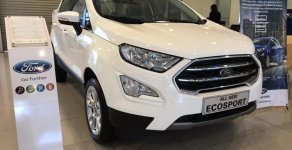 Ford EcoSport  Titanium 1.0L AT 2018 - Bán Ford EcoSport Titanium 1.0L AT, 2018, màu trắng, tặng bảo hiểm thân vỏ, hỗ trợ vay 90% giá xe, thủ tục nhanh gọn giá 689 triệu tại Lạng Sơn