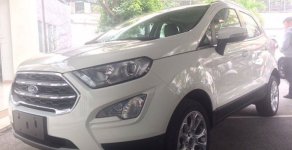 Ford EcoSport 2018 - Bán xe Ecosport gia ngay giá thấp nhất thị trường, ưu đãi ngân hàng giá 625 triệu tại Hưng Yên