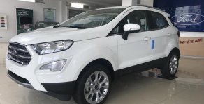 Ford EcoSport Titanium 1.5L AT 2018 - Bán Ford EcoSport Titanium 1.5 năm 2018, màu trắng tại Ninh Bình, LH 0987987588 giá 648 triệu tại Ninh Bình