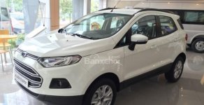 Ford EcoSport Trend 2018 - Bán xe Ford EcoSport Trend AT 2018 tại Bắc Giang, giá tốt, LH 0989022295 giá 593 triệu tại Bắc Giang