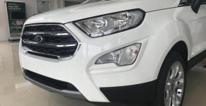 Ford EcoSport Titanium 2018 - Bán Ford EcoSport Titanium Ecoboost sản xuất 2018, nhập khẩu nguyên chiếc, giá 610tr, LH 0989022295 tại Bắc Giang giá 610 triệu tại Bắc Giang