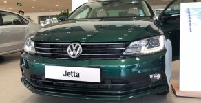 Volkswagen Jetta 2016 - Bán Volkswagen Jetta sedan hạng trung cao cấp, nhập khẩu chính hãng giá 890 triệu tại Tp.HCM