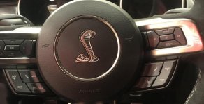 Ford Mustang Shelby GT 350 2018 - Bán xe Ford Mustang Shelby GT 350 năm sản xuất 2018, màu đen, xe nhập giá 3 tỷ 438 tr tại Tp.HCM