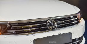 Volkswagen Passat Bluemotion 2017 - Bán Volkswagen Passat bluemotion đỉnh cao của công nghệ Đức, nhập khẩu nguyên chiếc, LH 0942050350 giá 1 tỷ 400 tr tại Ninh Thuận