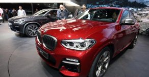 BMW X4 xDrive20i 2018 - Bán xe BMW X4 xDrive20i đời 2018, màu đỏ, nhập khẩu nguyên chiếc giá 2 tỷ 800 tr tại Tp.HCM