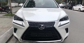 Lexus NX 2018 - Bán Lexus NX300 sản xuất 2018 màu trắng, giao ngay giá 2 tỷ 510 tr tại Hà Nội