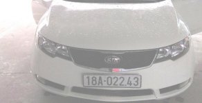 Kia Forte EX 1.6 MT 2013 - Bán Kia Forte EX 1.6 MT đời 2013, màu trắng, giá 375tr giá 375 triệu tại Nam Định