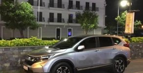 Honda CR V G 2018 - Bán ô tô Honda CR V G đời 2018, màu bạc chính chủ giá 1 tỷ 50 tr tại Long An