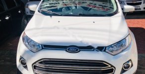 Ford EcoSport Titanium 1.5L AT 2015 - Bán Ford EcoSport Titanium 1.5L AT năm 2015, màu trắng chính chủ giá 499 triệu tại Gia Lai