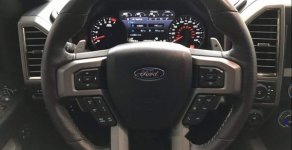 Ford F 150  Raptor  2017 - Bán ô tô Ford F 150 Raptor đời 2017, nhập khẩu giá 3 tỷ 900 tr tại Tp.HCM