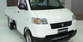Suzuki Super Carry Pro 2019 - Bán xe tải Suzuki Carry Pro 705kg số 1, nhập khẩu có máy lạnh tại An Giang giá 312 triệu tại An Giang