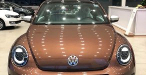 Volkswagen Beetle 2018 - Bán xe Volkswagen Beetle sản xuất 2018, màu nâu nhập từ Âu giá 1 tỷ 469 tr tại Tp.HCM