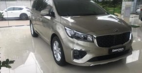 Kia Sedona Platinum D 2018 - Bán xe Kia Sedona Platinum D sản xuất 2018 giá 1 tỷ 209 tr tại Tiền Giang
