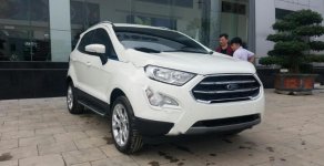 Ford EcoSport Titanium 1.5L AT 2018 - Bán ô tô Ford EcoSport Titanium 1.5L AT đời 2018, màu trắng, mới 100% giá 648 triệu tại Thanh Hóa