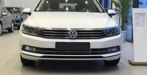 Volkswagen Passat 2019 - Bán Volkswagen Passat, xe Đức hạng E, Trả trước 300 triệu, bao bank, bao hồ sơ khó, xe bao ngon, tặng phụ kiện giá 1 tỷ 380 tr tại Tp.HCM