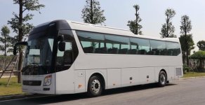 Hyundai Universe Avanced 380Ps 2018 - Bán Hyundai Universe Avanced 45 + 2 chỗ - sang trọng vượt ngoài trí tưởng tượng giá 3 tỷ 500 tr tại Đà Nẵng