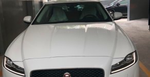Jaguar XF Prestige  2019 - Bán Jaguar XF Prestige 2019 màu trắng, đỏ, giao ngay bảo hành chính hãng giá 2 tỷ 799 tr tại Tp.HCM