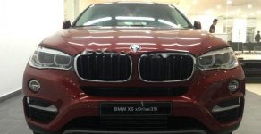 BMW X6 xDrive 35i 2019 - Bán xe BMW X6 xDrive 35i sản xuất 2019, màu đỏ, xe nhập giá 3 tỷ 969 tr tại Tp.HCM