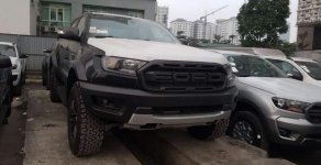 Ford Ranger Raptor  2019 - Bán Ford Ranger Raptor năm 2019, nhập khẩu nguyên chiếc giá 1 tỷ 198 tr tại Cao Bằng