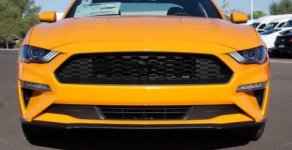 Ford Mustang   2.3 AT  2019 - Bán Ford Mustang 2.3 AT sản xuất 2019, màu vàng giá 2 tỷ 990 tr tại Hà Nội