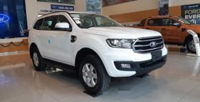 Ford Everest   2019 - Bán ô tô Ford Everest sản xuất 2019, màu trắng, xe nhập giá 999 triệu tại Nam Định