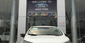 Ford EcoSport 1.5 Ambient AT 2019 - Chỉ với hơn 500tr sở hữu ngay chiến binh đường phố Ford Ecosport 2019. Hỗ trợ trả góp cao. LH 0974286009 giá 530 triệu tại Vĩnh Phúc
