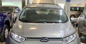 Ford EcoSport AT 2015 - Bán Ford EcoSport sản xuất năm 2015, màu bạc, xe chính chủ giá 477 triệu tại Tp.HCM