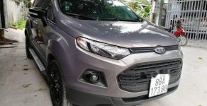 Ford EcoSport 2017 - Bán Ford EcoSport sản xuất 2017, màu xám như mới, giá 570tr giá 570 triệu tại Vĩnh Phúc