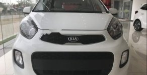 Kia Morning 2019 - Bán xe Kia Morning năm sản xuất 2019, màu trắng giá 355 triệu tại Quảng Ngãi