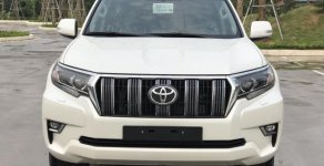 Toyota Land Cruiser Prado VX 2019 - Bán Toyota Land Cruiser Prado mới 100%, NK Nhật Bản, giá tốt, LH 0942.456.838 giá 2 tỷ 340 tr tại Hòa Bình