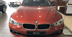 BMW 3 Series 320i  2018 - Cần bán BMW 3 Series 320i đời 2019, màu cam, nhập khẩu giá 1 tỷ 689 tr tại Bình Dương