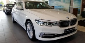 BMW 5 Series 2018 - Bán ô tô BMW 5 Series đời 2019, màu trắng, nhập khẩu nguyên chiếc giá 3 tỷ 69 tr tại Bình Dương