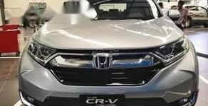 Honda CR V  1.5 E Turbo   2019 - Bán Honda CR V 1.5 E Turbo 2019, màu bạc, nhập khẩu, 983tr  giá 983 triệu tại Đắk Lắk