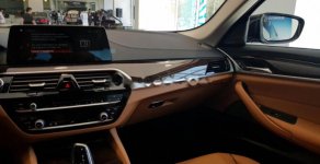 BMW 5 Series 530i 2018 - Bán BMW 5 Series 530i đời 2018, màu đen, nhập khẩu nguyên chiếc giá 3 tỷ 69 tr tại Tp.HCM
